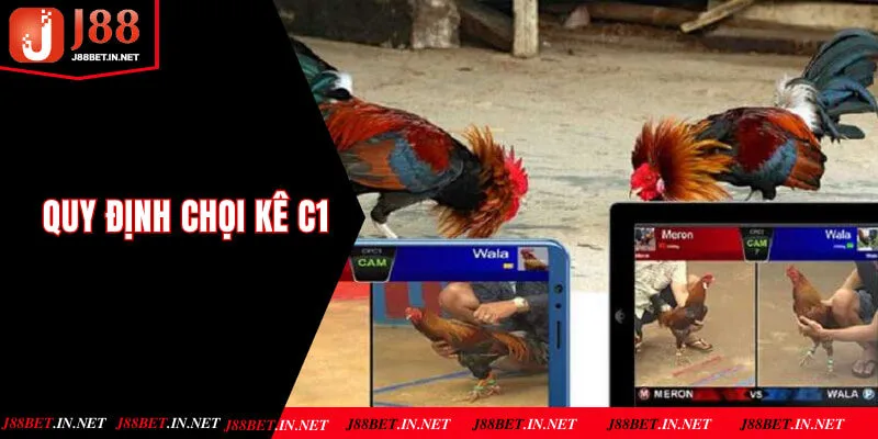 Quy định trong chọi kê C1