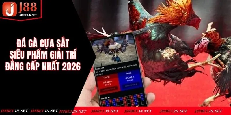 Đá Gà Cựa Sắt - Siêu Phẩm Giải Trí Đẳng Cấp Nhất 2026