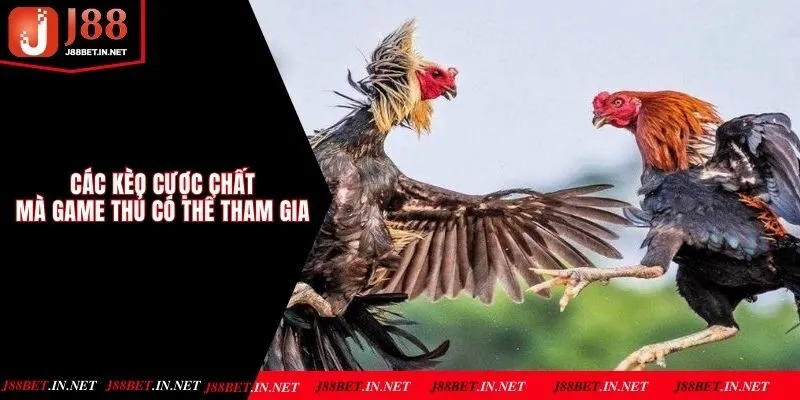 Các kèo cược chất mà game thủ có thể tham gia