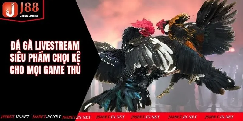 Đá Gà Livestream - Siêu Phẩm Chọi Kê Cho Mọi Game Thủ