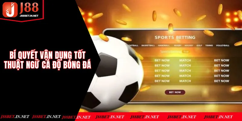 Bí quyết vận dụng tốt các thuật ngữ cá độ thể thao vua